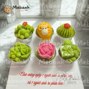 Bánh rau câu sinh nhật mini trang trí xương rồng và con vật